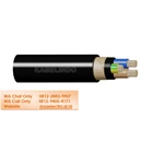 Kabelindo Cable NYSY 2 x 16 mm 1