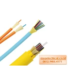 Cable Fiber Optic Panduit FLDRX12Y 1