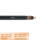 LAPP Kabel N2XS(F)2Y 1 x 70 mm PN 38106992 1