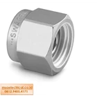 Swagelok Stainless Steel Tube Fitting 2507 Plug for 1/4 in 2507-400-P 1