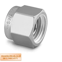Swagelok Stainless Steel Tube Fitting 2507 Plug for 1/4 in 2507-400-P
