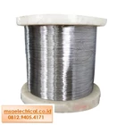 Fuji Wire Stainless Steel 304 Soft 1.5 mm 1